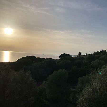 Chez Jean Claude La Villa Des Amis Olmeto  Luaran gambar