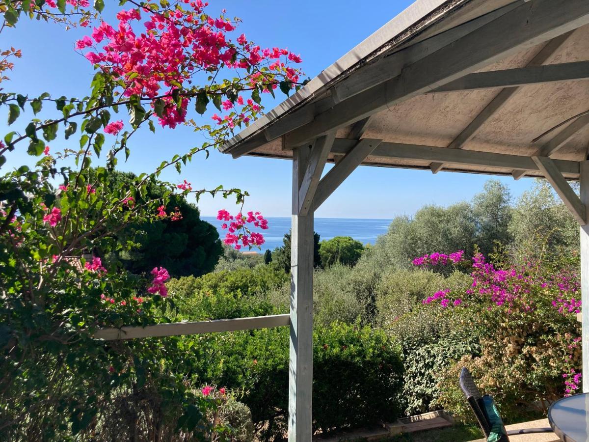 Chez Jean Claude La Villa Des Amis Olmeto  Luaran gambar