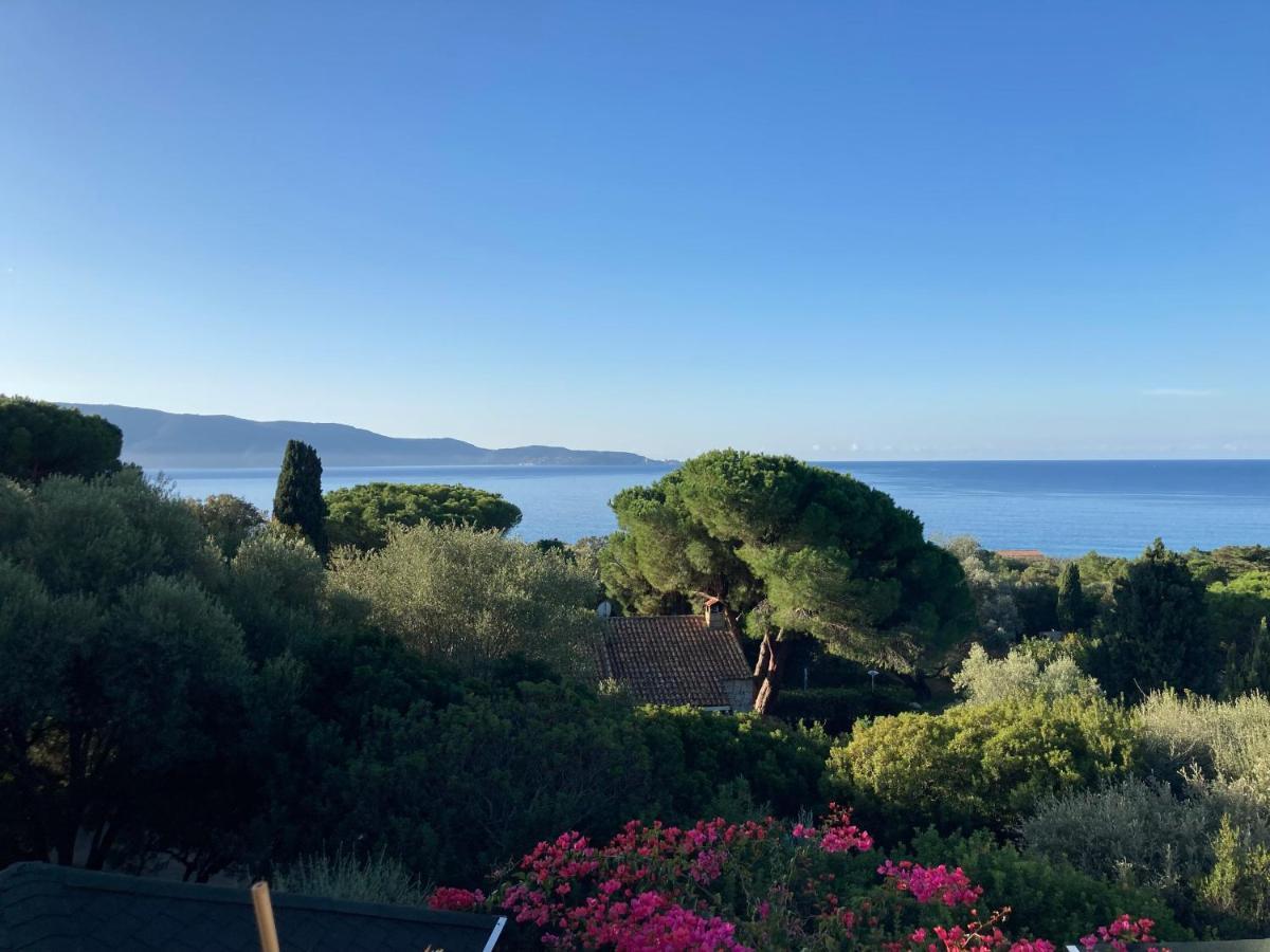 Chez Jean Claude La Villa Des Amis Olmeto  Luaran gambar