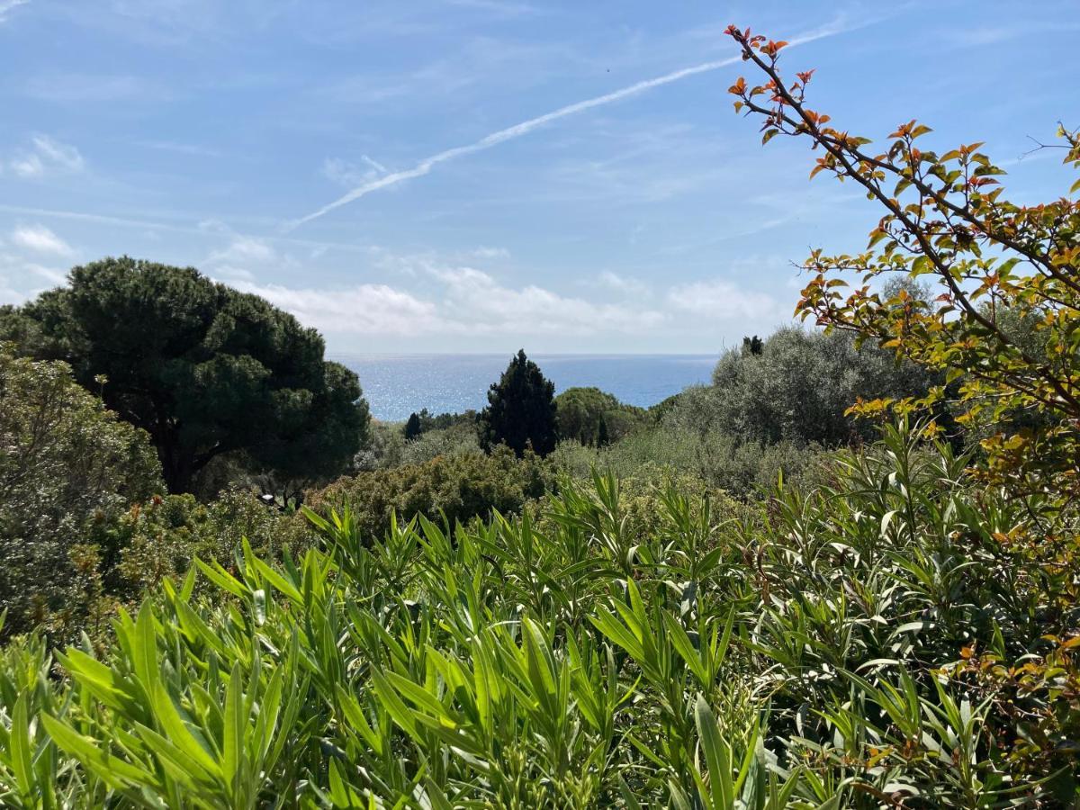 Chez Jean Claude La Villa Des Amis Olmeto  Luaran gambar