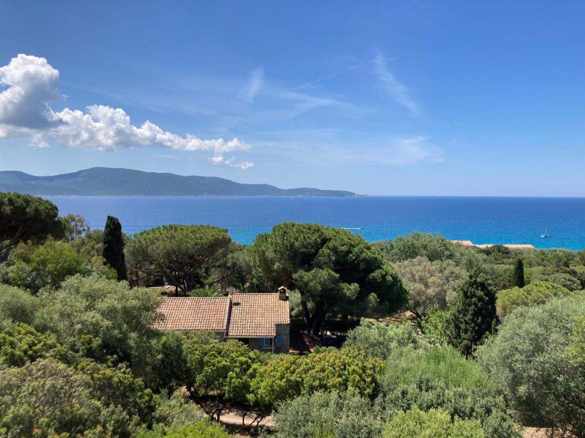 Chez Jean Claude La Villa Des Amis Olmeto  Luaran gambar
