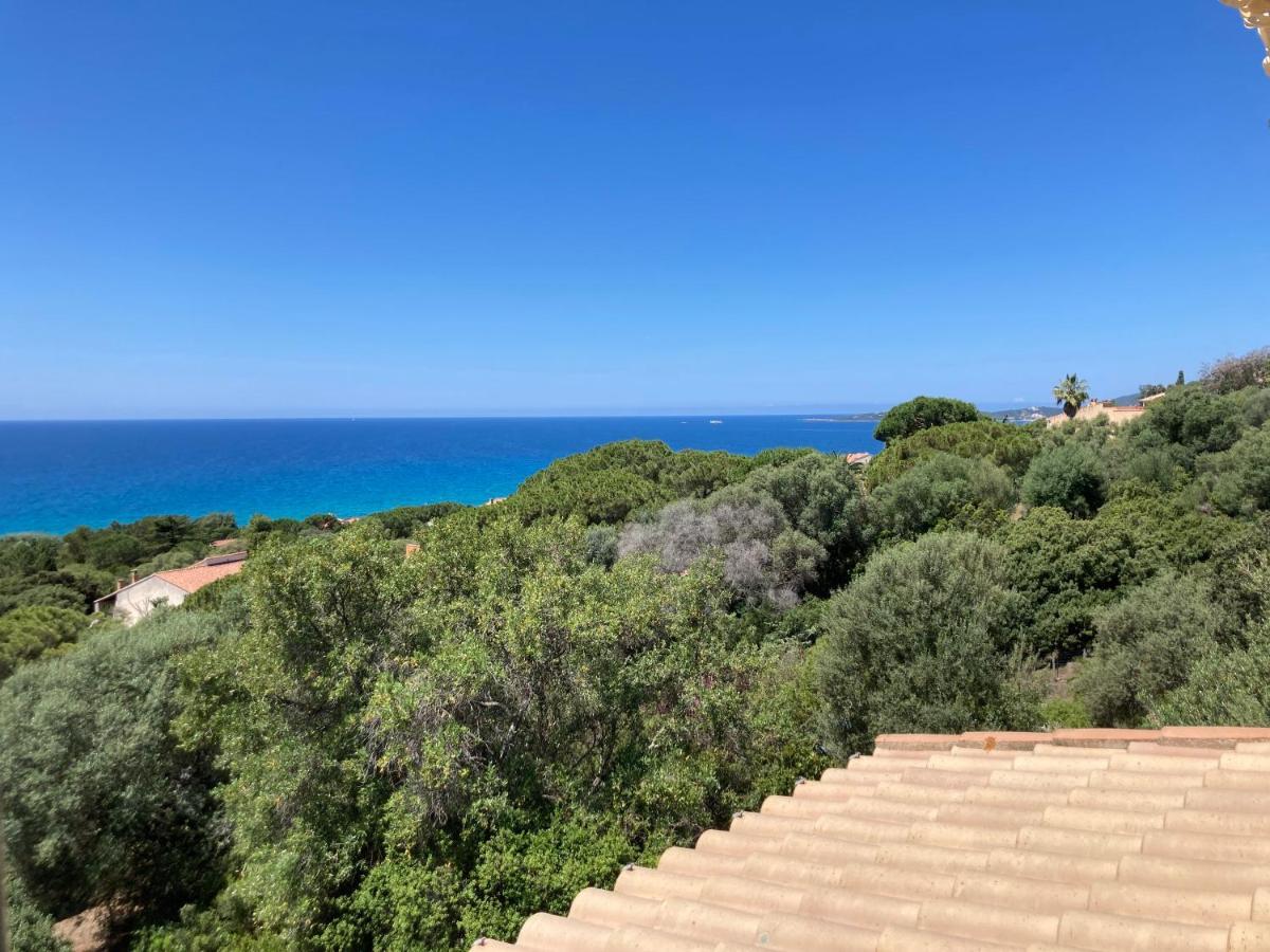 Chez Jean Claude La Villa Des Amis Olmeto  Luaran gambar