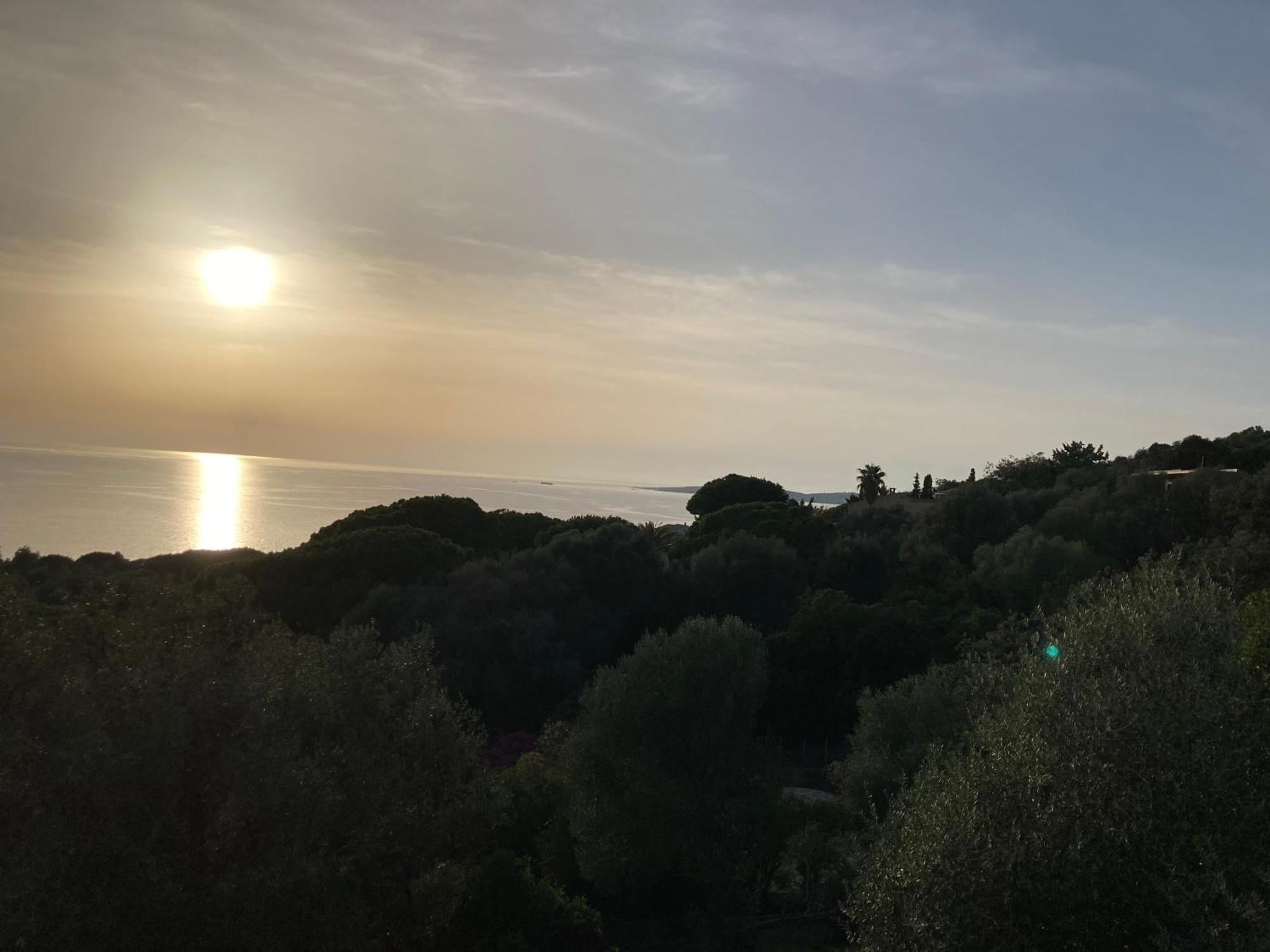 Chez Jean Claude La Villa Des Amis Olmeto  Luaran gambar