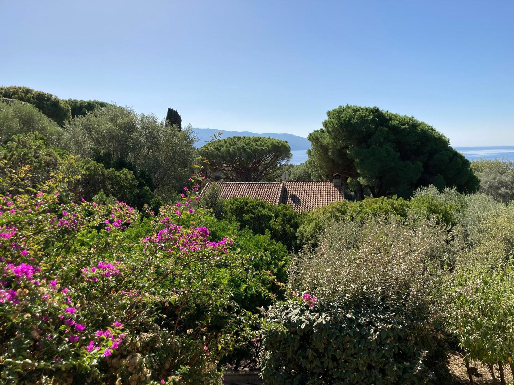 Chez Jean Claude La Villa Des Amis Olmeto  Luaran gambar